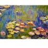 Image de Bluebird Puzzle Claude Monet - Nymphéas