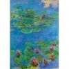 Image de Bluebird Puzzle Claude Monet - Water Lilies, 1917