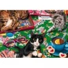 Image de Bluebird Puzzle Puzzle Cats