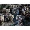 Image de Bluebird Puzzle Anne Stokes - Wolf Collage