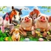 Image de Bluebird Puzzle Petting Farm