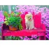 Image de Bluebird Puzzle Puppy in the Colorful Garden