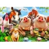 Image de Bluebird Puzzle Petting Farm