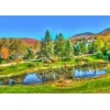 Image de Bluebird Puzzle Stowe, Vermont, USA