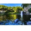 Image de Bluebird Puzzle Bassin de la Paix, La Réunion, France