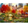 Image de Bluebird Puzzle Central Park NYC