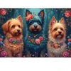 Image de Bluebird Puzzle Trio Canin