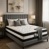 Image de SAMPUR Matelas Excelsior : Mémoire de Forme & Ressorts ensachés | Antidouleur Articulation | 30 cm d'épaisseur (180x200 cm)