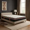Image de SAMPUR Matelas et Double surmatelas intégrés | Mémoire de Forme | Zones ergonomiques | Indépendance de Couchage (200x200 cm)