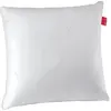Image de EPEDA Aloe Vera - 65x65cm ferme ALOE2-OR-6565-FERM