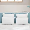Image de Bultex Lot de 2 oreillers Duo 40x60 en Fibres Creuses siliconées - Blanc, 40 x 60