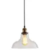 Image de Verre Soufflé à La Main Plafond Lustres Industrielle Vintage Pendante éclairage Métal Lampe Suspendues Antiquité Ferme Pendant La Lumière Pour Cuisine Île-e-transparent 1-lumière