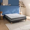 Image de BULTEX VITALITY21 1420