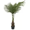Image de AltoBuy Palmier Artificiel en polyéthylène Hauteur 120cm