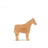 Image de Shaker Cheval