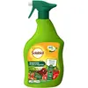 Image de SOLABIOL Insecticide Fruits & Légumes - Pulvérisateur - Prêt A L'emploi - 750ml - Double Action - Elimine Les Insectes & Protège Les Plantes - Efficace Contre Puceron Cochenille Aleurode SOLEGPAL750