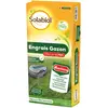 Image de SOLABIOL Engrais Gazon 4 En 1 - Sac 10 Kg - Jusqu'à 250m² - Nutrion Longue Durée - Effet Reverdissant - Limite Les Mauvaises Herbes - Stimule L'Enracinement SOGAZYPRO10