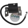 Image de Bobine d'allumage compatible avec Briggs Stratton remplace 397358