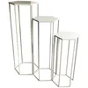 Image de HOME DECO FACTORY - HD62201, Lot de 3 Sellettes Gigognes en Métal Blanc pour Plantes et Décorations, Dimensions 60x30x26 cm - Conçu pour Salon, Chambre ou Entrée