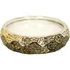 Image de HOME DECO FACTORY - BO5548, Bougie Parfumée Céramique 7 Mèches Senteur Ambre, Décoration Tendance, Temps de Combustion 18h, Diamètre 20 cm, Couleur Doré - Idée Cadeau