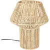 Image de Lampe 33 cm CARLIE