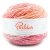 Image de Phildar - Pelote de Laine Phil COLORMIX - Laine à Tricoter - 50% Laine,50% Acrylique - Aiguille n°6 - Couleur VITAMINÉ