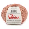 Image de Phildar - Pelote de Laine Phil Starlight - Laine à Crocheter et à Tricoter - 80% COTON,20% POLYESTER METALLISE - Aiguille n°3 - Couleur ROSE