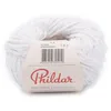 Image de Phildar - Pelote de Laine Phil Swan - Laine à Crocheter et à Tricoter - 40% COTON,40% ACRYLIQUE,20% POLYAMIDE - Aiguille n°5 - Couleur BLANC