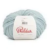Image de Phildar - Pelote de Laine Phil Start - Laine à Crocheter et à Tricoter - 10% ALPAGA,40% ACRYLIQUE,50% LAINE VIERGE - Aiguille n°8 - Couleur VERT
