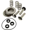 Image de Kit pistons + joints + roulements pour nettoyeur haute pression