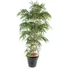 Image de PEGANE Plante Artificielle Haute Gamme Spécial extérieur/Bambou Artificiel Coloris Vert - Hauteur 120 cm