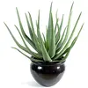 Image de PEGANE Plante Artificielle Haute Gamme Spécial extérieur/Aloevera Artificielle - Dim : 70 x 40 cm