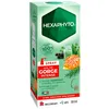 Image de Hexaphyto | Spray mal de gorge intense | Soulage rapidement la douleur & l'irritation | Protège la gorge en 5 minutes | Hydratant & apaisant | Goût miel | Dès 12 ans | Fabriqué en France | 30 ml