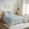 Image de univers decor Pack Complet 6 pièces Housse de Couette réversible pour lit 160 x 200 cm (Pack Housse de Couette 6 pièces lit 160 x 200 cm, Agathe Celadon)