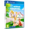 Image de Animal Hospital