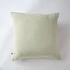 Image de Taie d'oreiller 60x60 cm Gaze de Coton à Pois brodés Vert d'eau