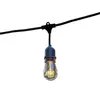 Image de Ampoule LUMISKY Guirlande lumineuse extérieure raccordab