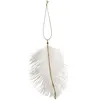 Image de Sachet de 6 Plumes décoratives à Suspendre