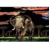 Image de Figured'Art Peinture à Gratter format A3 (29.7x42cm) - Éléphant - Kit Complet de Scratch Painting Carte à Gratter