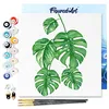 Image de Figured'Art Mini Peinture par Numéro Adulte 20x20cm avec cadre Feuilles - Petit Format Kit de Loisir Créatif DIY Numéro d'Art Complet