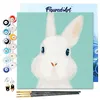 Image de Figured'Art Mini Peinture par Numéro Adulte 20x20cm avec cadre Lapin blanc - Petit Format Kit de Loisir Créatif DIY Numéro d'Art Complet