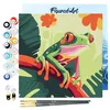 Image de Figured'Art Mini Peinture par Numéro Adulte 20x20cm avec cadre Rainette Tropicale aux Yeux Rouges - Petit Format Kit de Loisir Créatif DIY Numéro d'Art Complet
