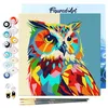 Image de Figured'Art Mini Peinture par Numéro Adulte 20x20cm avec cadre Hibou Abstrait Pop Art - Petit Format Kit de Loisir Créatif DIY Numéro d'Art Complet