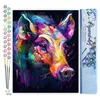 Image de Figured'Art Peinture par Numéro Adulte Sanglier Coloré Abstrait - Activité Manuelle Kit de Loisir Créatif DIY Numéro d'Art Complet Animaux - 40x50cm sans châssis en bois