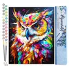 Image de Figured'Art Peinture par Numéro Adulte Hibou Coloré Abstrait - Activité Manuelle Kit de Loisir Créatif DIY Numéro d'Art Complet Animaux - 40x50cm sans châssis en bois