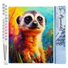 Image de Figured'Art Peinture par Numéro Adulte Suricate Coloré Abstrait - Activité Manuelle Kit de Loisir Créatif DIY Numéro d'Art Complet Animaux - 40x50cm sans châssis en bois
