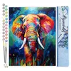 Image de Figured'Art Peinture par Numéro Adulte Éléphant Coloré Abstrait - Activité Manuelle Kit de Loisir Créatif DIY Numéro d'Art Complet Animaux - 40x50cm sans châssis en bois