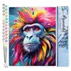 Image de Figured'Art Peinture par Numéro Adulte Babouin Coloré Abstrait - Activité Manuelle Kit de Loisir Créatif DIY Numéro d'Art Complet Animaux - 40x50cm sans châssis en bois