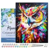 Image de Figured'Art Peinture par Numéro Adulte avec Cadre Hibou Coloré Abstrait - Activité Manuelle Kit de Loisir Créatif DIY Numéro d'Art Complet Animaux - 40x50cm toile tendue sur châssis