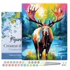 Image de Figured'Art Peinture par Numéro Adulte avec Cadre Orignal Coloré Abstrait - Activité Manuelle Kit de Loisir Créatif DIY Numéro d'Art Complet Animaux - 40x50cm toile tendue sur châssis